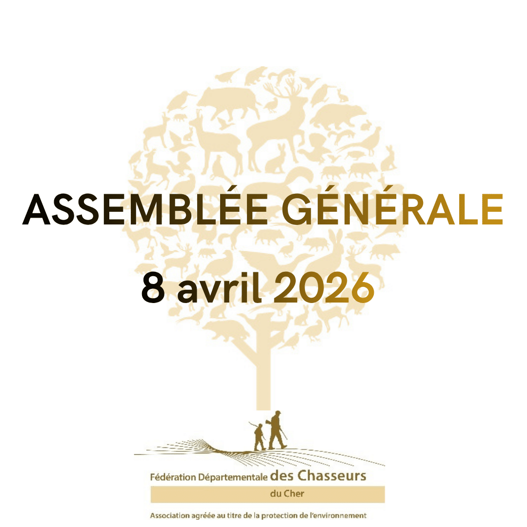 Assemblée Générale 2026