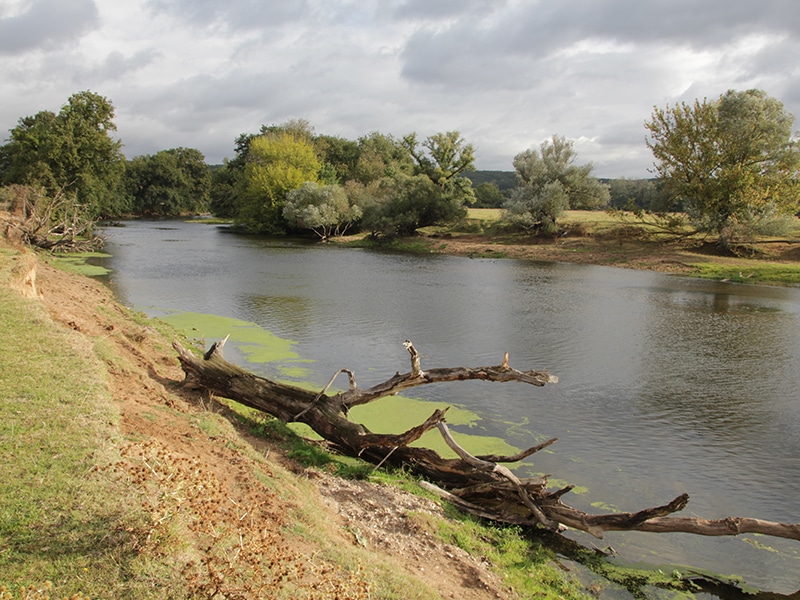 visite-decouverte-des-rives-du-cher-c-fernand-deroussen