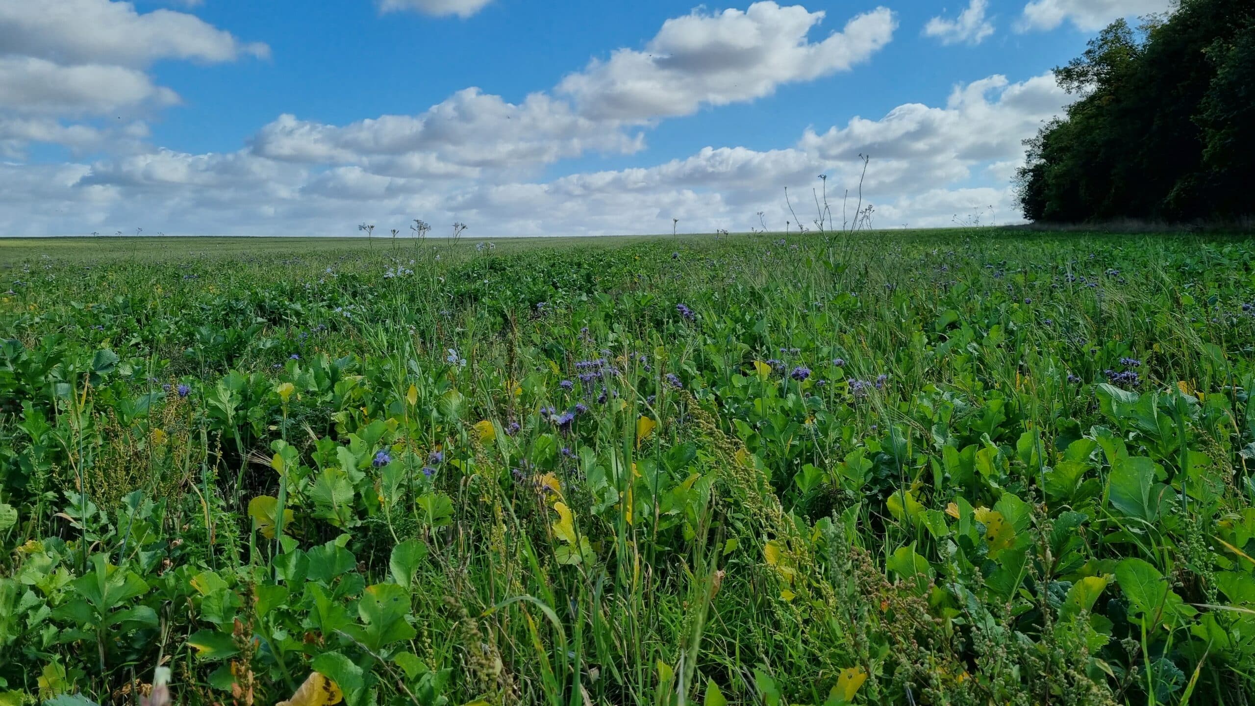 2026-02-10 Rappel mail PAC Biodiversité RP