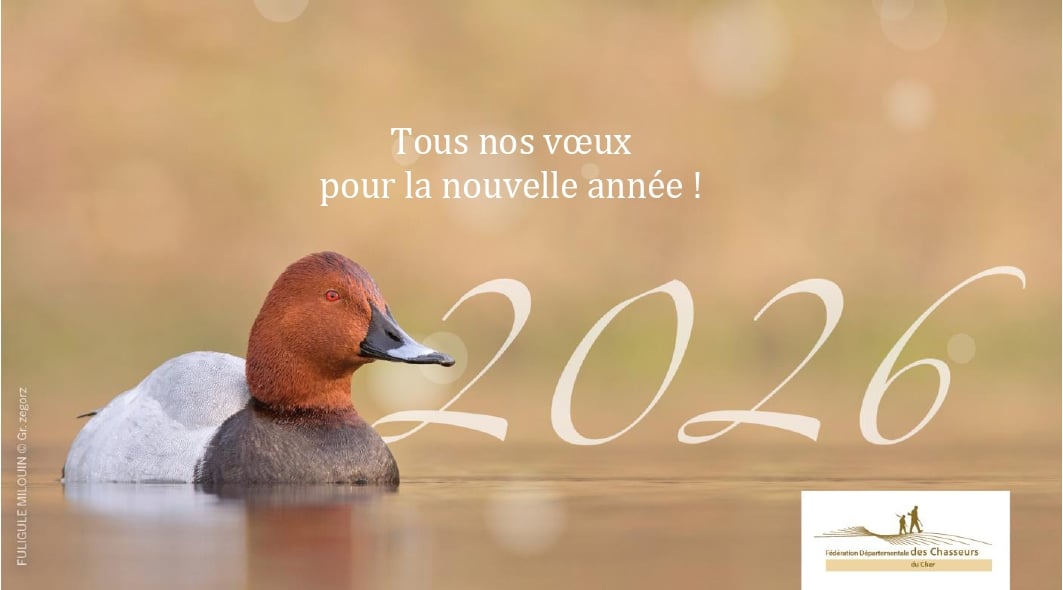 voeux 2026