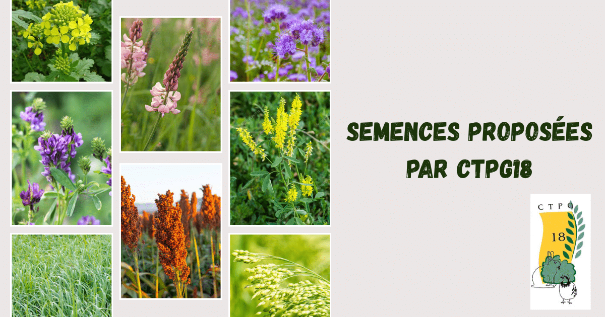 2026-02-25 Semences CTPG18