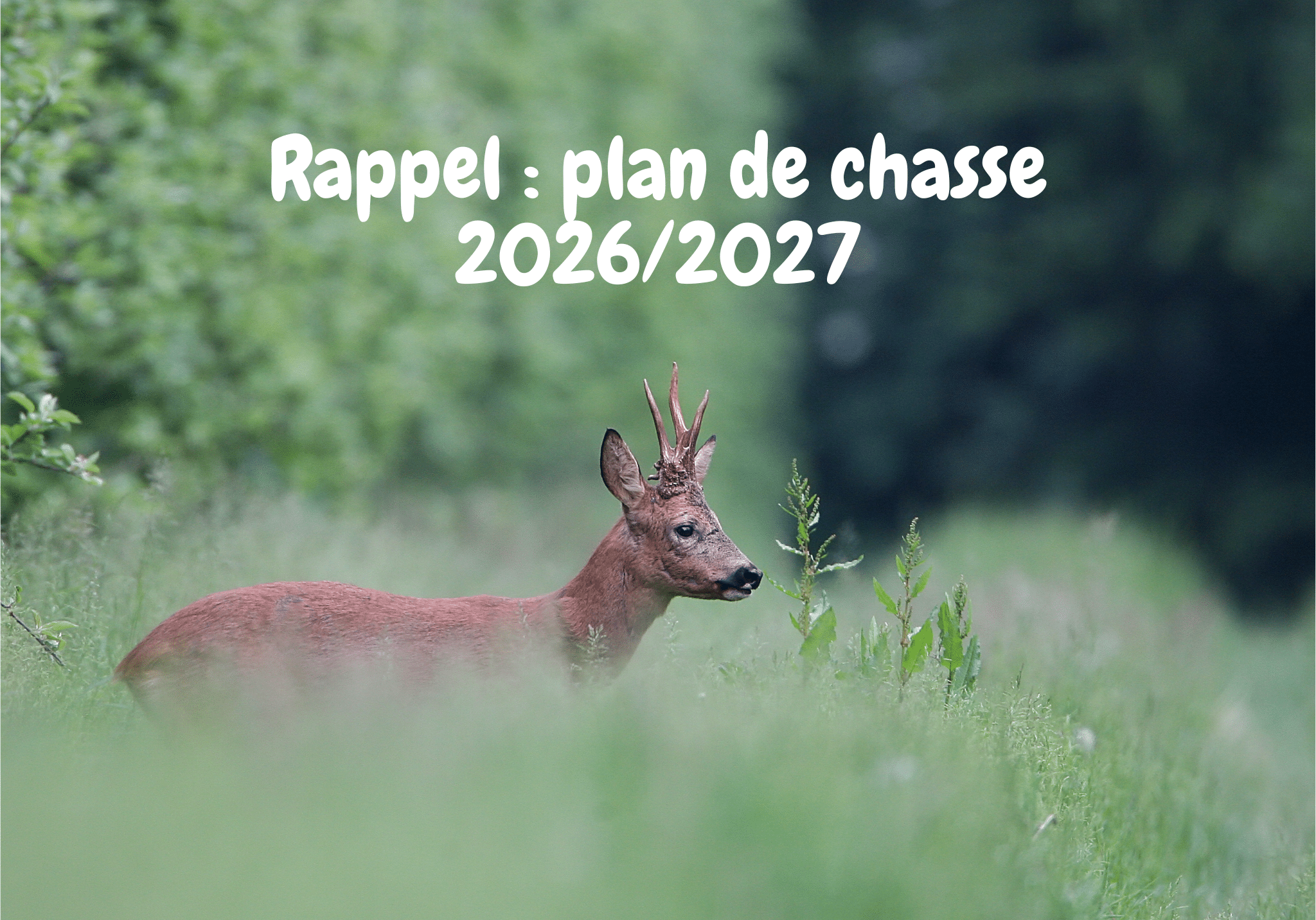 2026-03-05 Rappel demande de plan de chasse