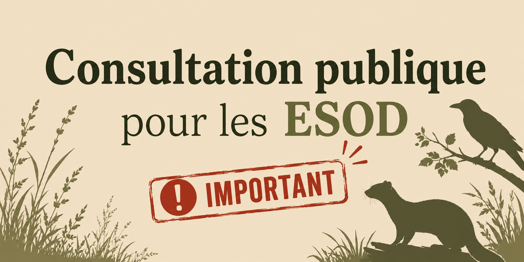 2026-07-16 Consultation ESOD
