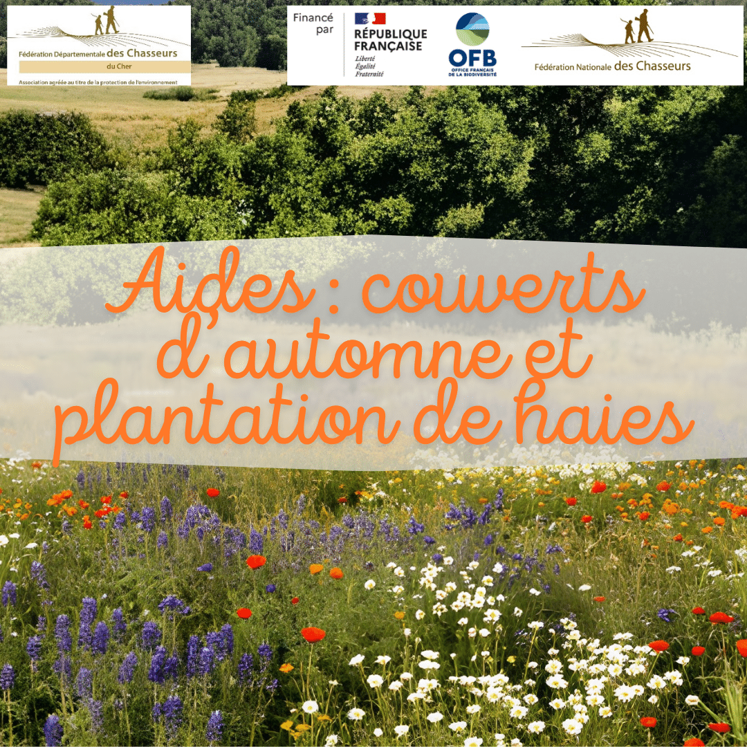 2026-07-23 Couverts d'automne et plantation de haies