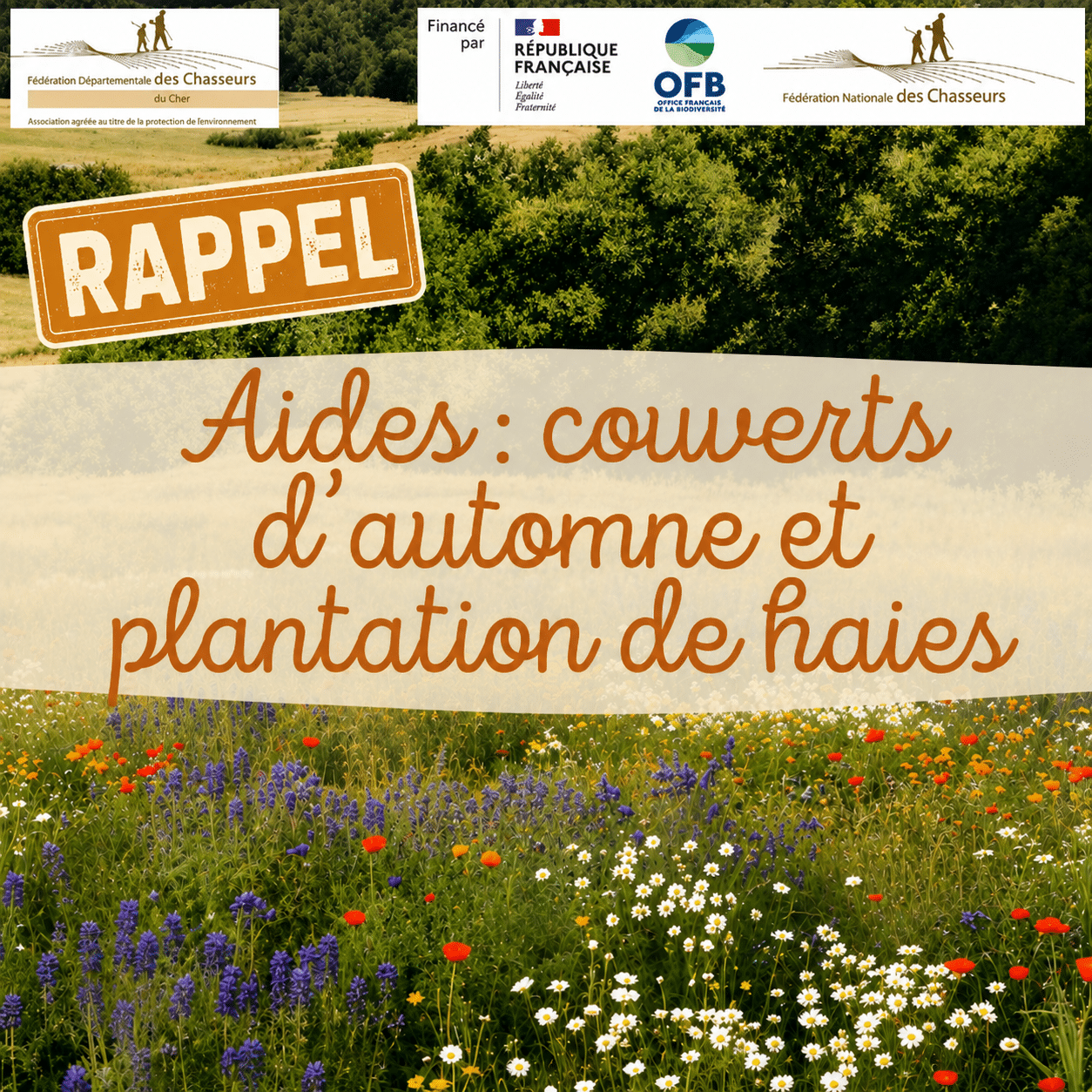 2026-08-14 Rappel Couverts d'automne et plantation de haies