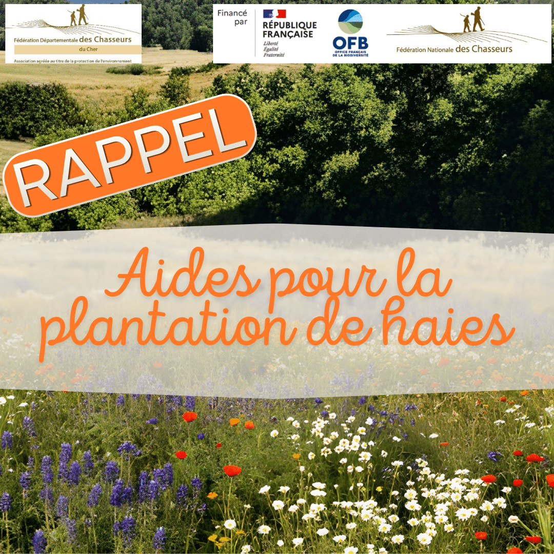 2026-09-16 Rappel plantation de haies