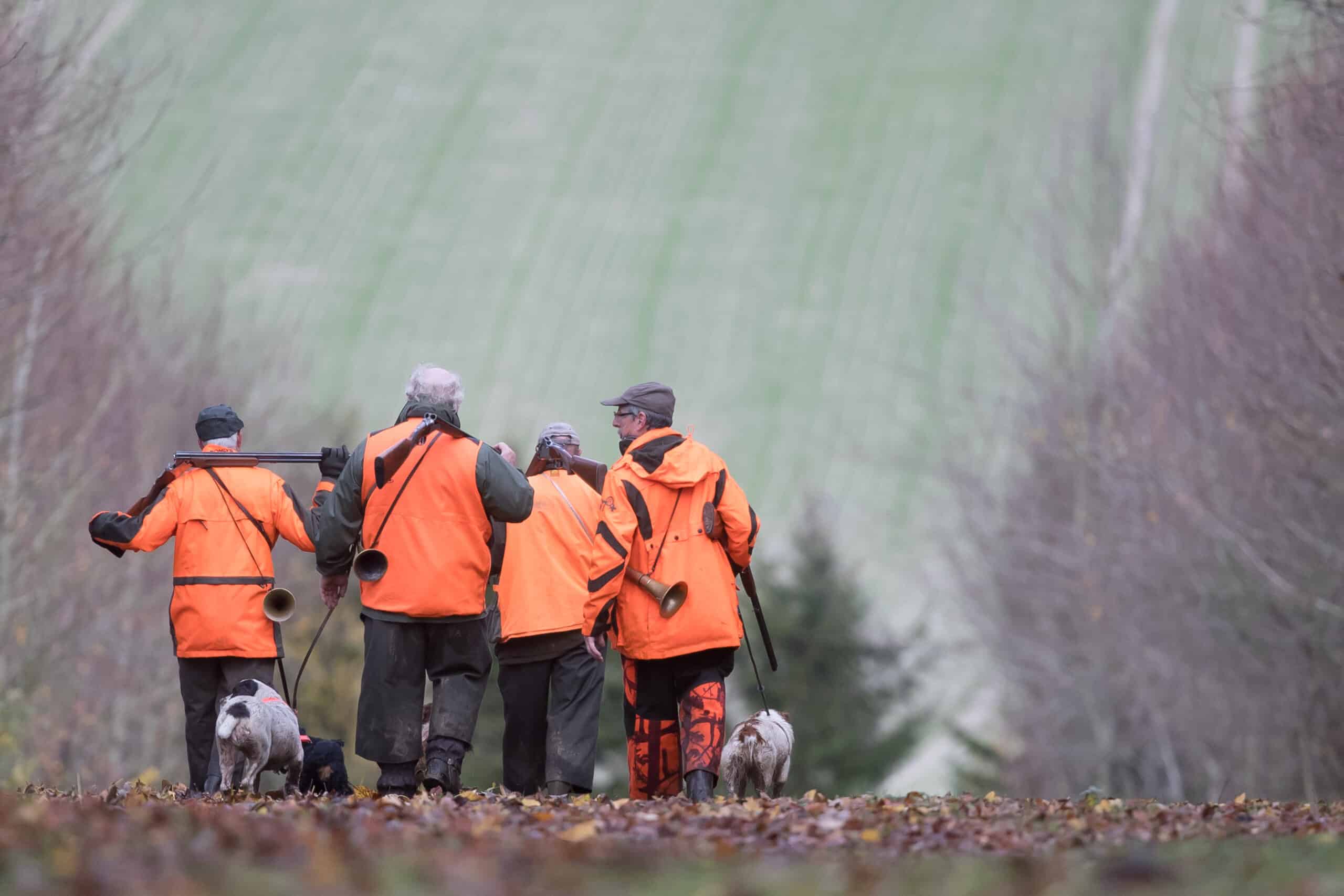 chasseurs en gilet fluo (2)